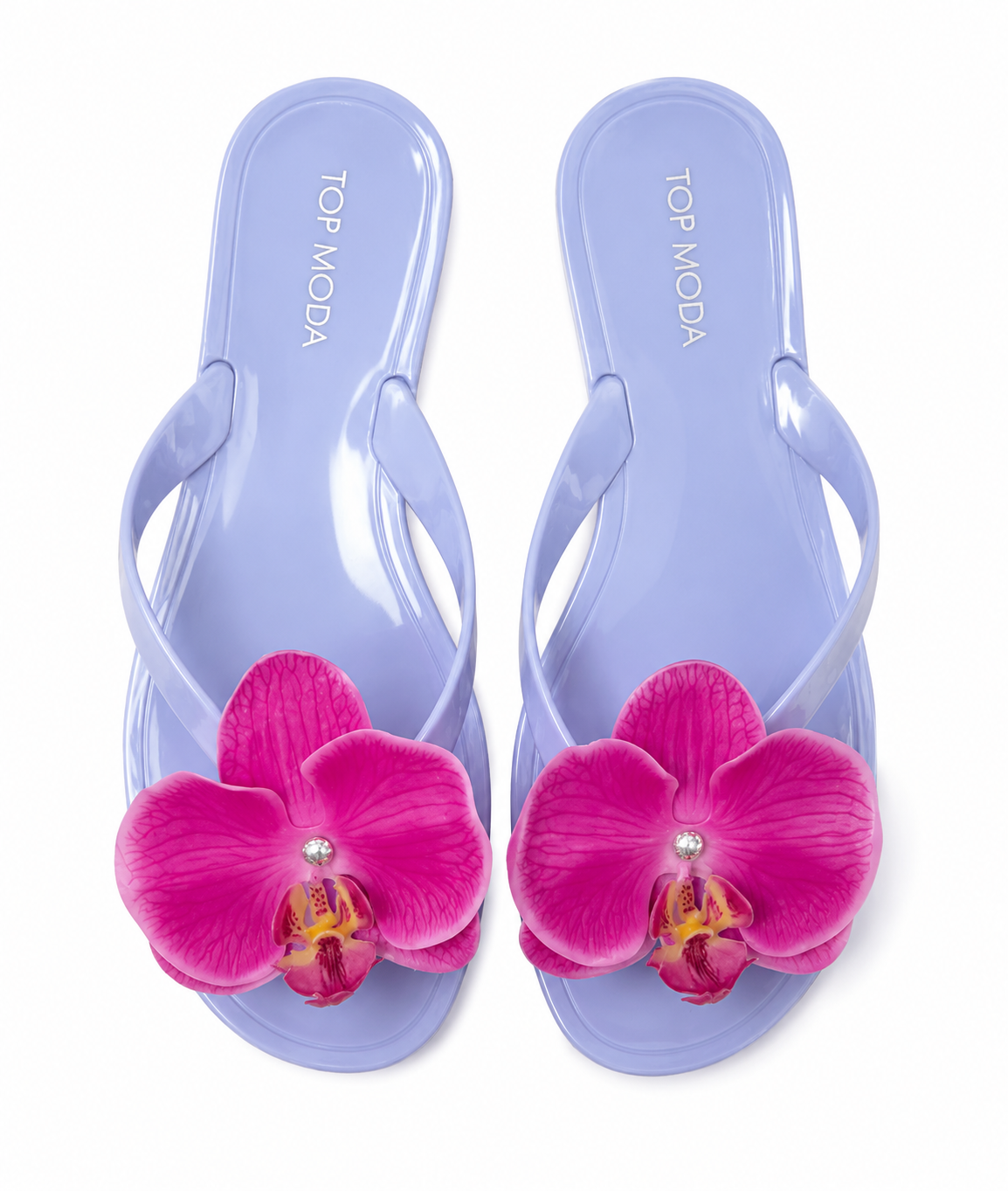 Orchid Beauty